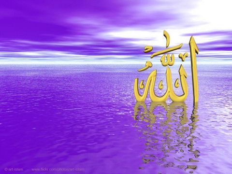 ALLAH (C.C)