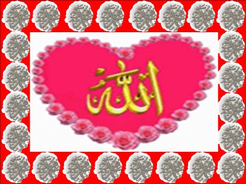 İLİM VE ALİM