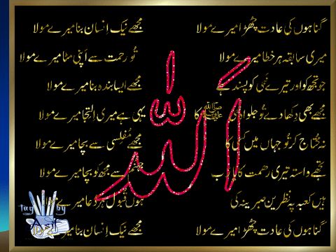 ALLAH C.C. İŞİTİCİDİR: