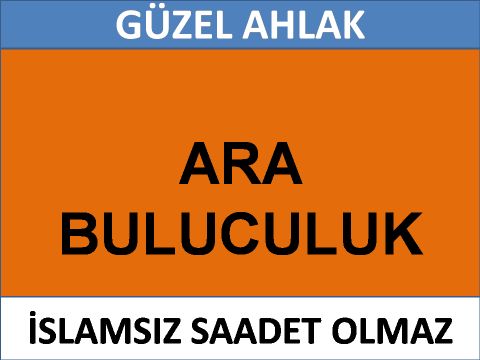 ARA BULUCULUK