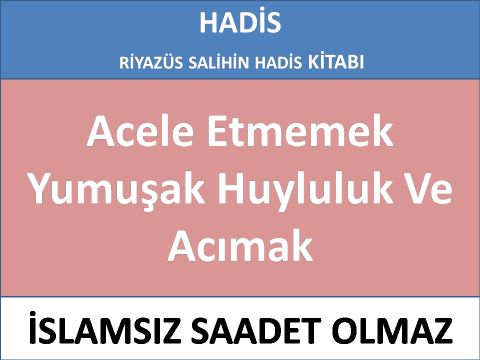 Acele Etmemek Yumuşak Huyluluk Ve Acımak