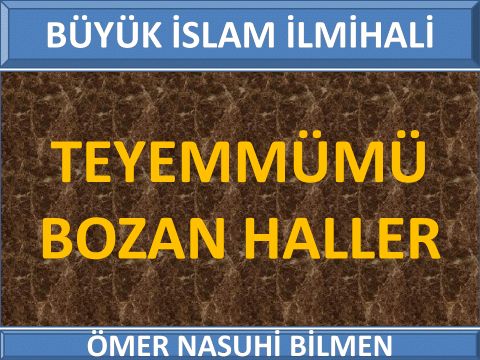  TEYEMMÜMÜ BOZAN HALLER