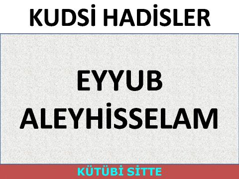 EYYUB ALEYHİSSELAM