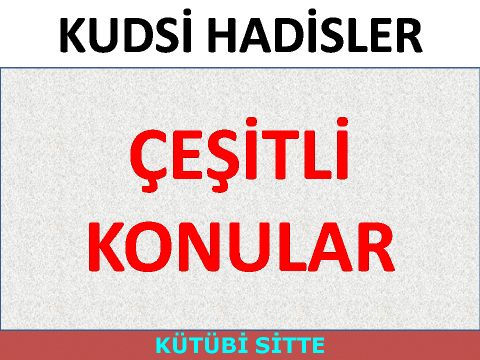 ÇEŞİTLİ KONULAR